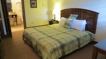 树荫草地旅馆 newland