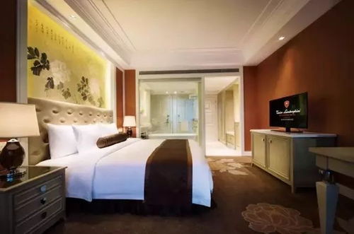 周末不加价丨 699住兰博基尼,含8000㎡网红乐园家庭门票