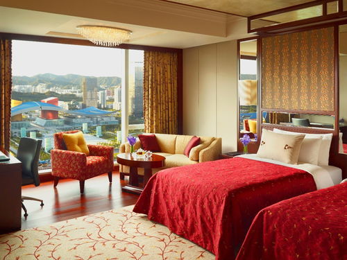 过年不回家 你可以在深圳这样过......