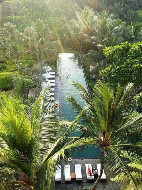 这才叫酒店 你那最多只能叫做旅馆